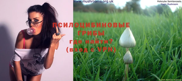 индика Алзамай