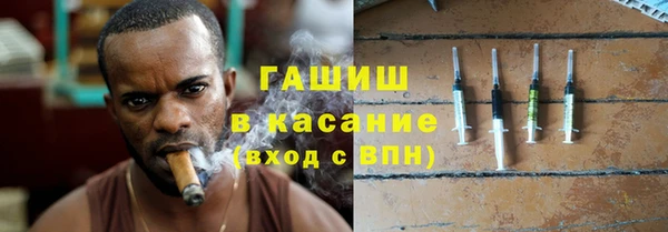 индика Алзамай