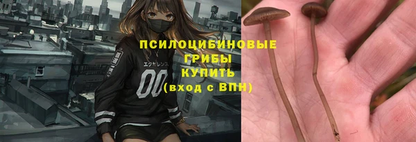 дурь Алексин