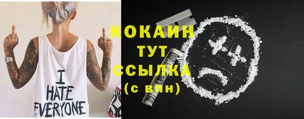 молекула духа Инта