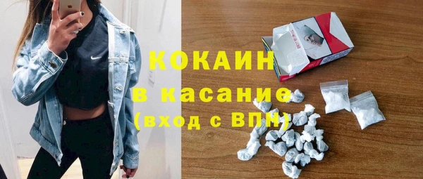 индика Алзамай