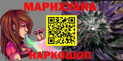 мдпв Камень-на-Оби