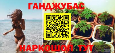 мдпв Камень-на-Оби