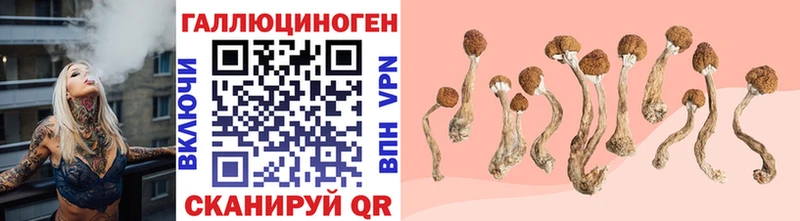 Галлюциногенные грибы Psilocybe  Березники 
