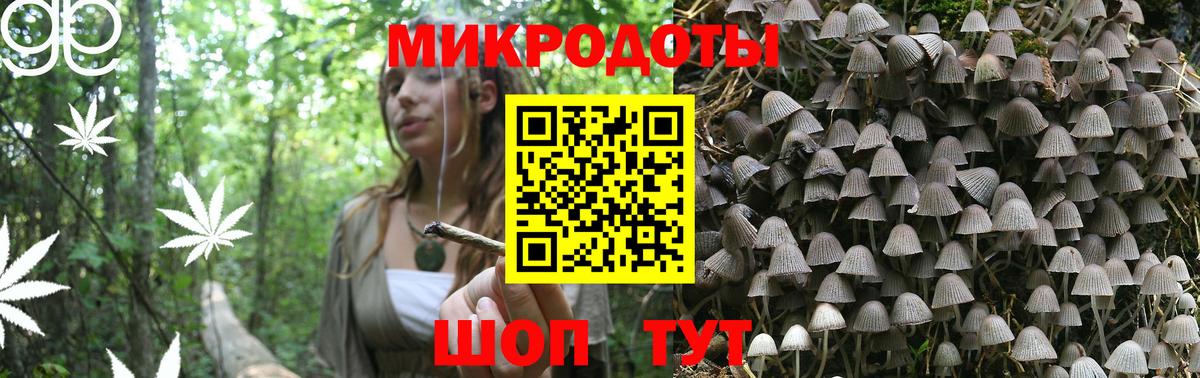 Галлюциногенные грибы Cubensis Березники
